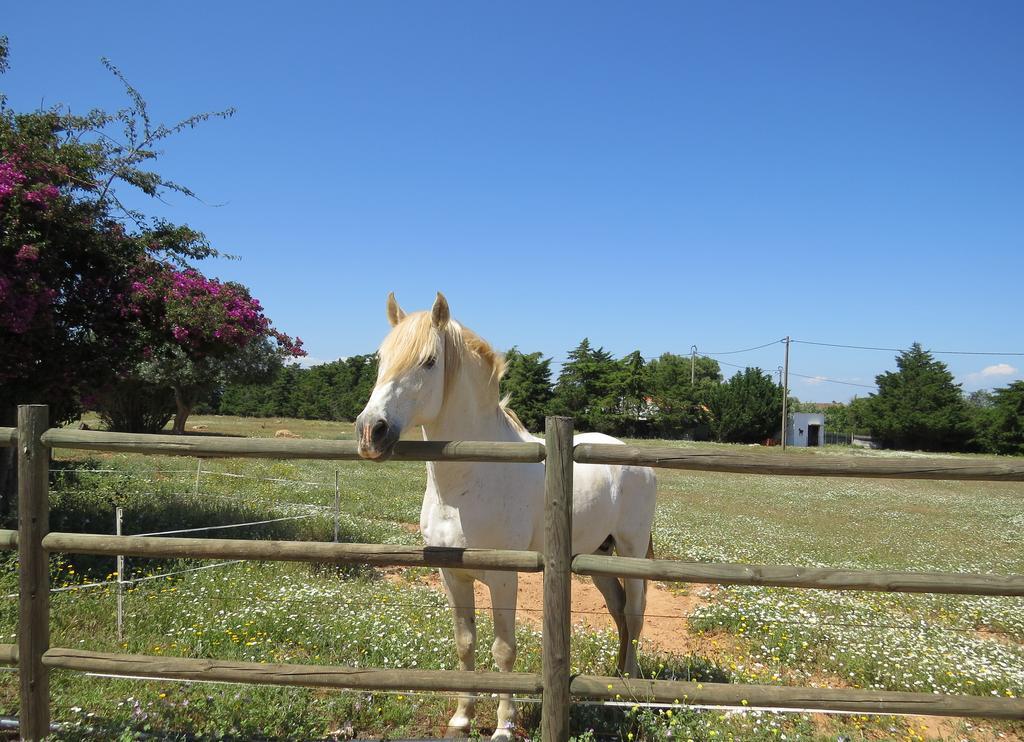 Quinta Dos Cavalos Silves Bagian luar foto